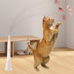 Cat electric toy with automatic cat teasing function can be attached and held in hand eprolo