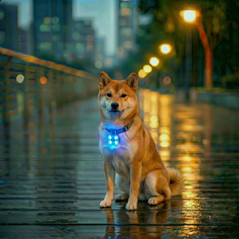 USB Rechargeable 3-Mode LED Pet Safety Light - Glowing Collar for Dogs and Cats eprolo